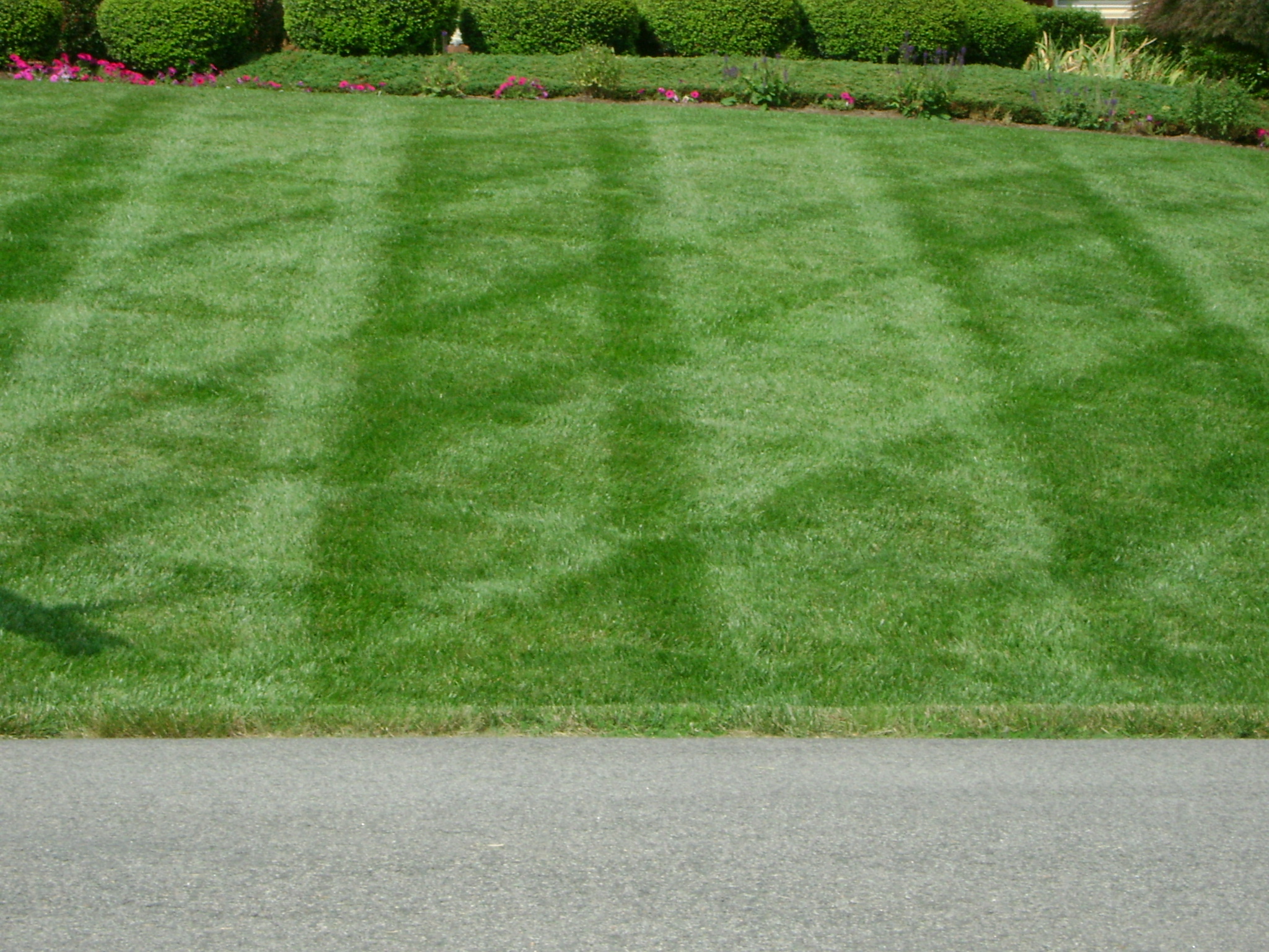 Lawn Care Service